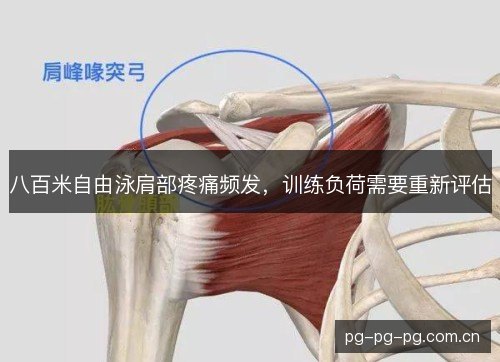 八百米自由泳肩部疼痛频发,训练负荷需要重新评估 八百米自由泳肩部疼痛频发,训练负荷需要重新评估